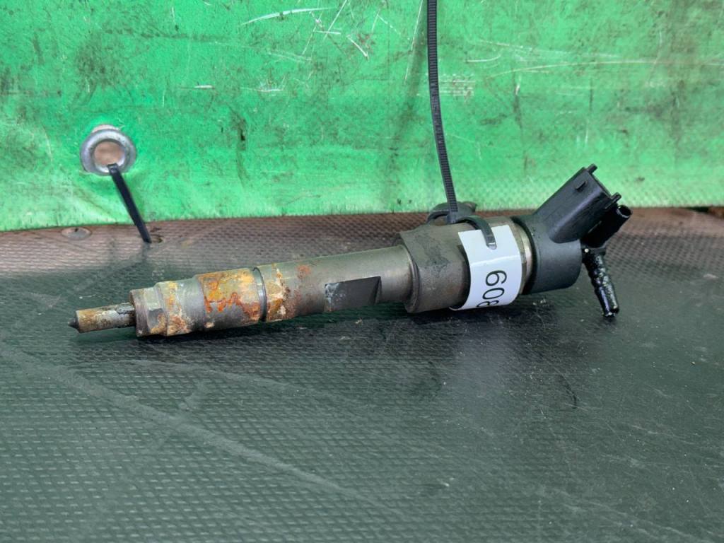 (60894) Форсунка Renault Megane II 2004 1,9 DCi 0445110110B (60894) Форсунка Renault Megane II 2004 1,9 DCi 0445110110B