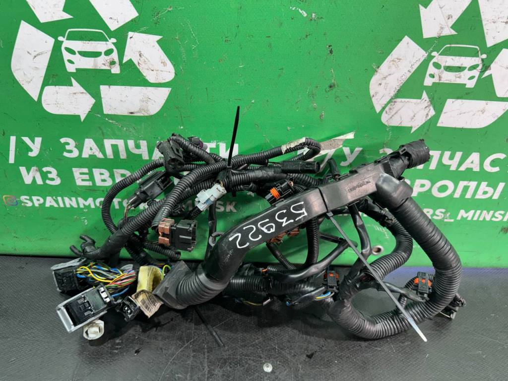 (53922) Проводка двигателя Mitsubishi Space Star 2002 1,9 DCi - фото1